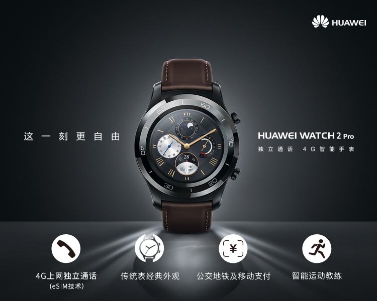 华为(huawei)watch 2 pro钛银灰 4g版