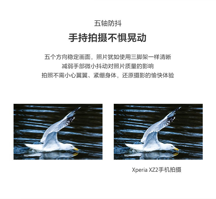 索尼Xperia XZ2 (H8296)移动联通双4G版尘粉