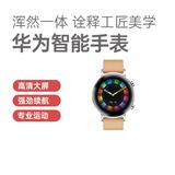华为 watch gt   智能手表 42毫米 时尚版 暖砂杏 [dan-b19]  全部