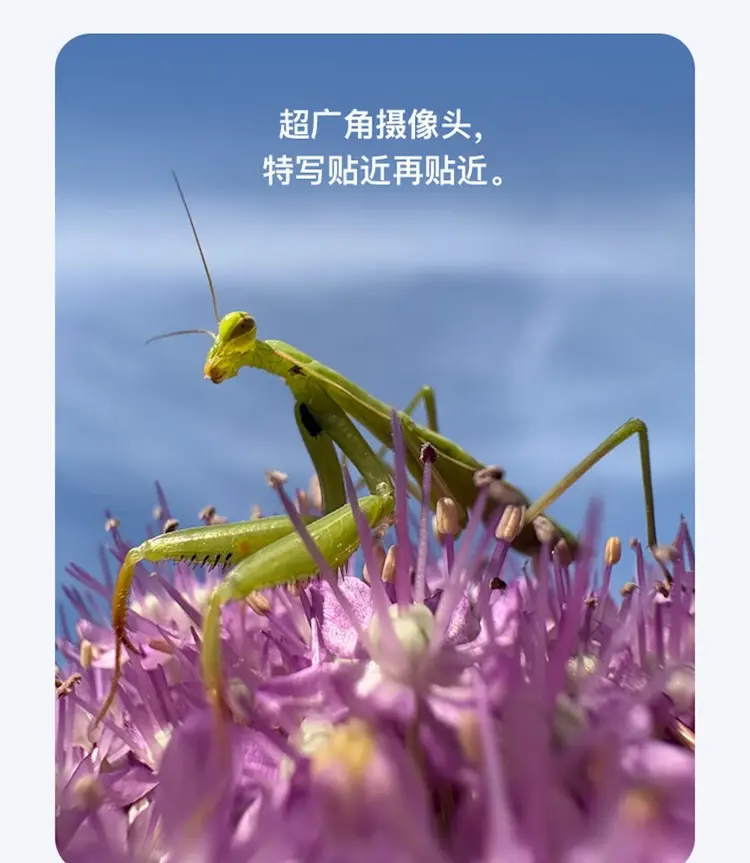 https://img2.ch999img.com/newstatic/57250/141e6f73f344e206.jpg.webp