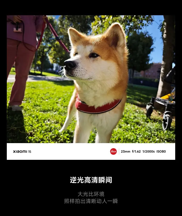 小米 15 全网通5G版