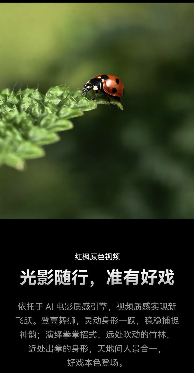 https://img2.ch999img.com/newstatic/59239/15ef2c5aae372cb1.png