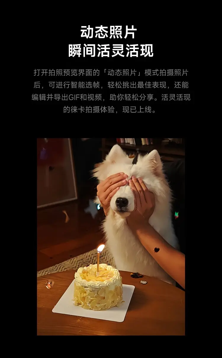 小米 15 全网通5G版