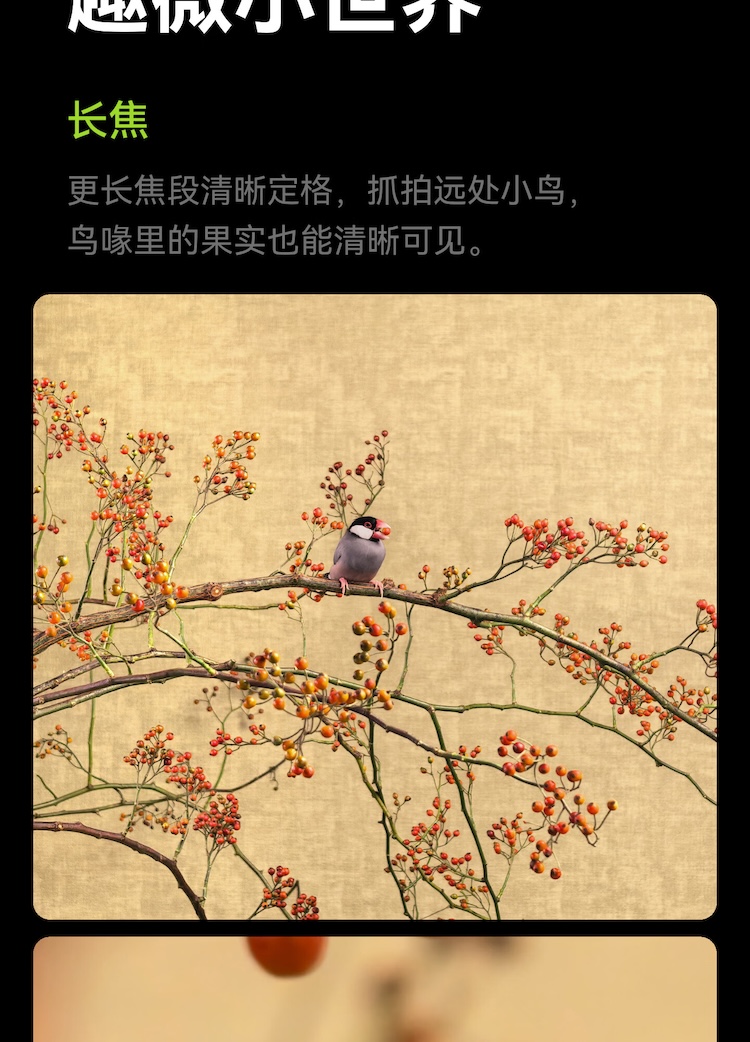 https://img2.ch999img.com/newstatic/72162/365bfb9165d0aca7.jpg