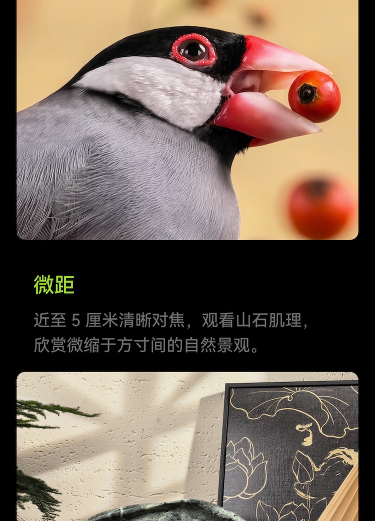 https://img2.ch999img.com/newstatic/88489/365bfbc10bdfa226.jpg