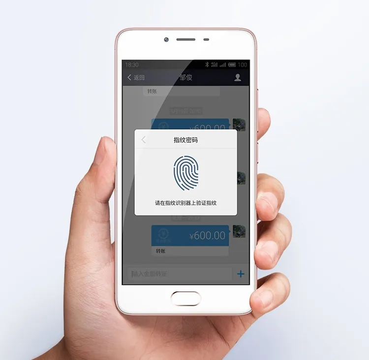 、支付宝指纹支付、flyme 应用商店指纹支付及 flyme 应用指纹加密多重功能。