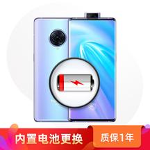 vivo Y9s 内置电池 